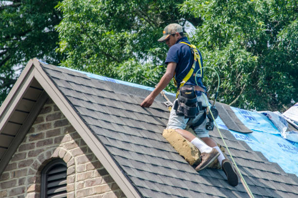 Quick and Trustworthy Emergency Roof Repair Services in Lawton, IA